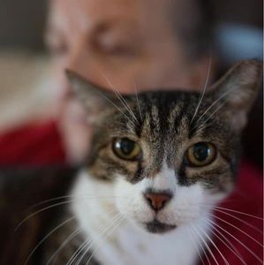 Meet your Posher, Sallie